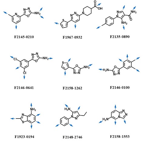 Figure 1. Examples of fragments from Sociable Fragment Library. Blue arrows represent growth vectors, which are well-positioned functional groups that enable rapid expansion of the fragment in various spatial directions via robust, predictable chemical reactions.
