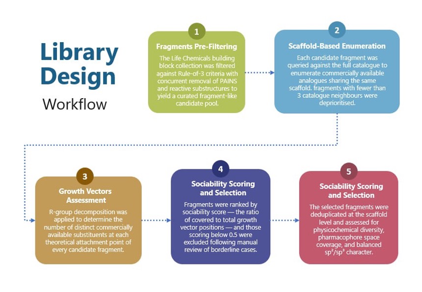 Figure 2. Flowchart of the design workflow for the Life Chemicals Sociable Fragment Library for FBDD.