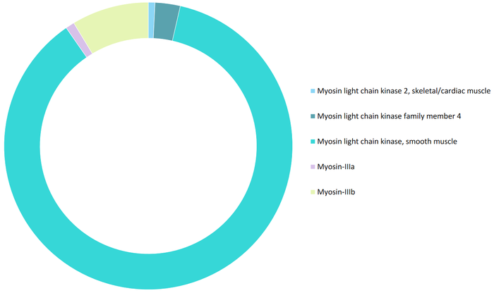 Figure 1. Compound distribution targeting protein within the Myosin Focused Library.