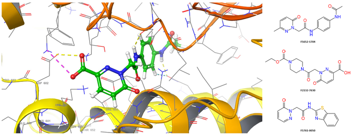 Figure 5. Spatial structure binding site of the complex of myosin-2 with the lead docking molecule F2132-7571 (docking score = -7.46).