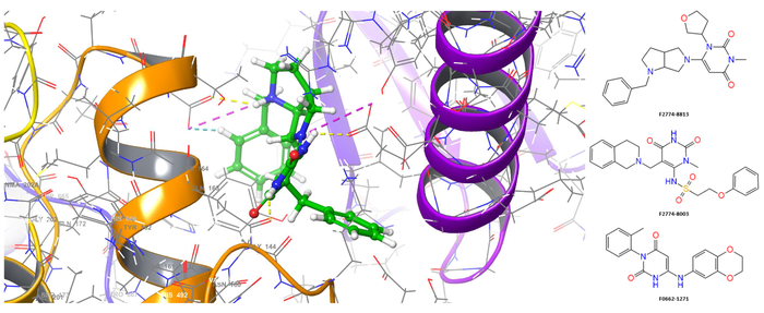 Figure 6. Spatial structure of the binding site of the complex of beta-cardiac myosin with the lead docking molecule F2774-8044 (docking score = -10.16).