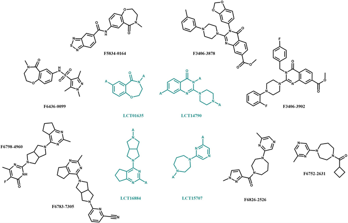 Figure 1. Example of final compounds designed with the use of molecular scaffolds.